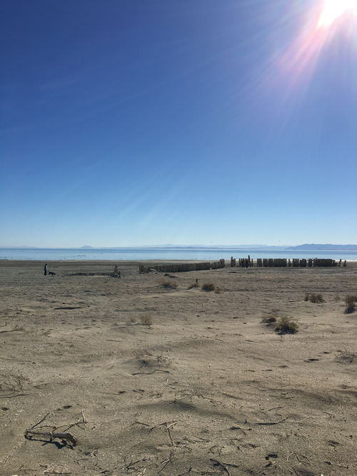 Salton Sea Area - 2015-2020 Photos